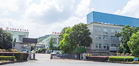 Zhejiang Wanchang Lorem Co., Ltd.