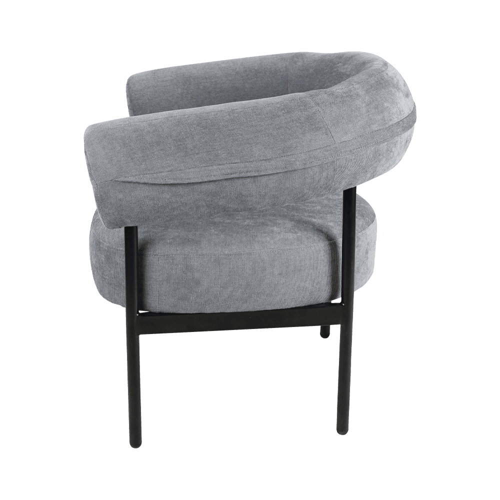 Griseo metallum frame Lounge Cathedra