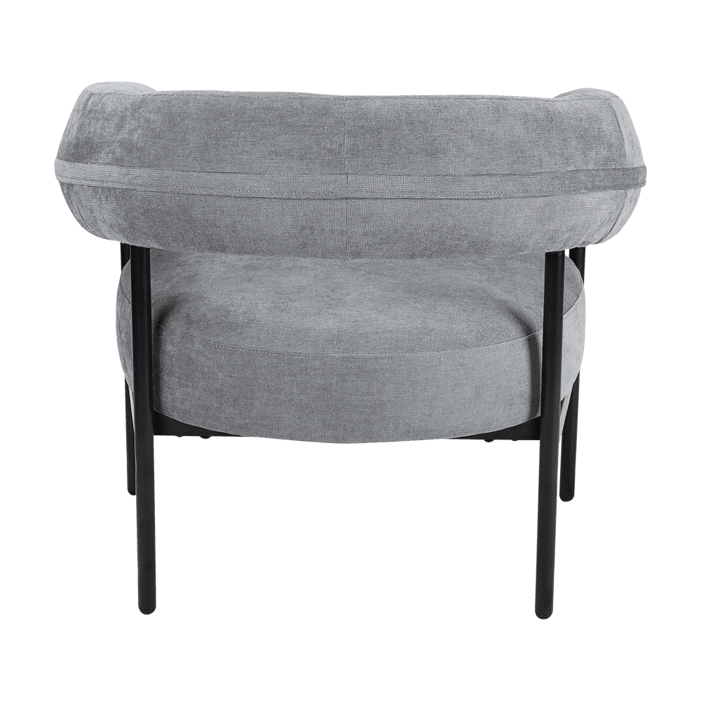 Griseo metallum frame Lounge Cathedra