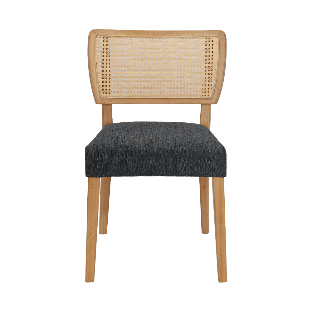 Grey lignum triclinium cathedra cum backrest