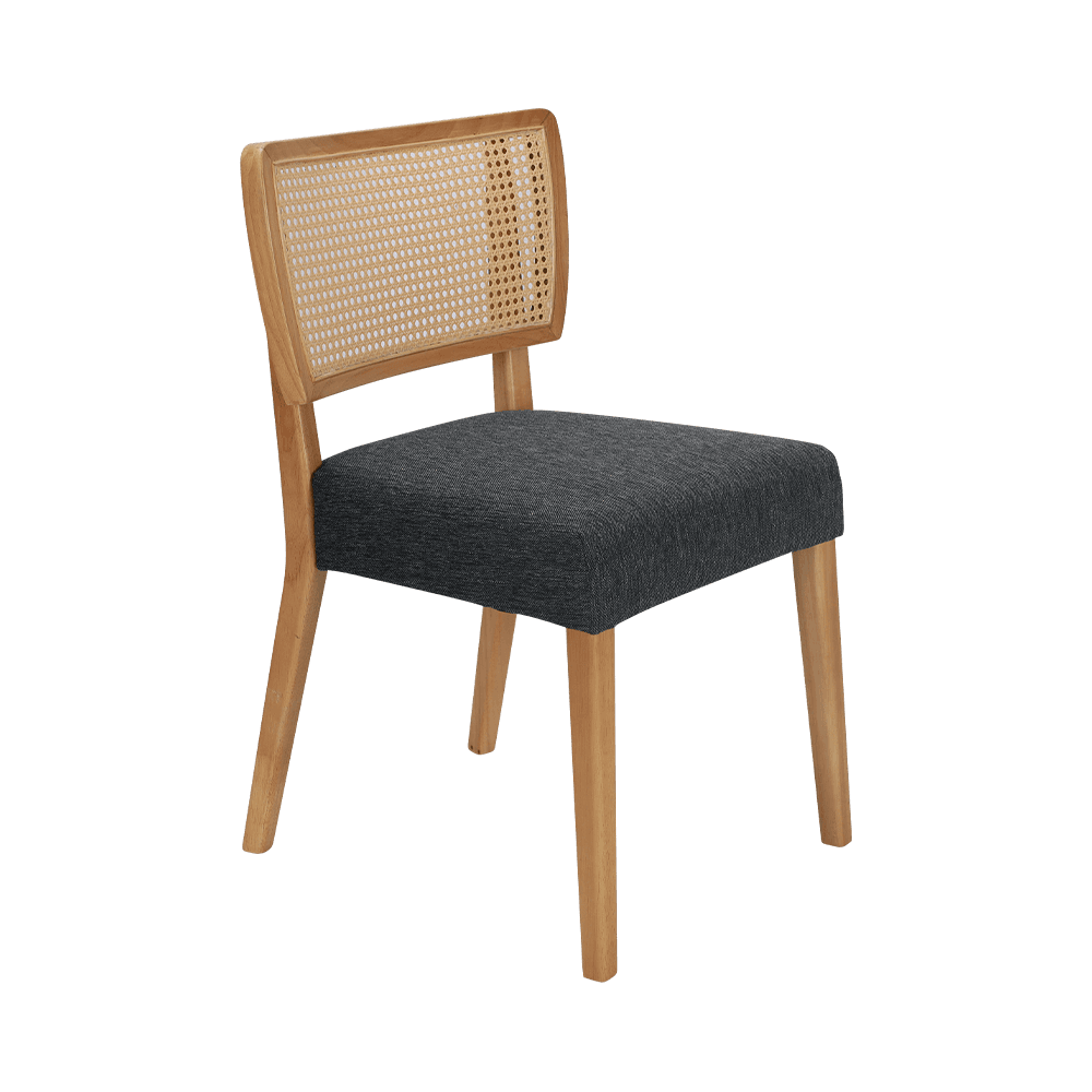 Grey lignum triclinium cathedra cum backrest