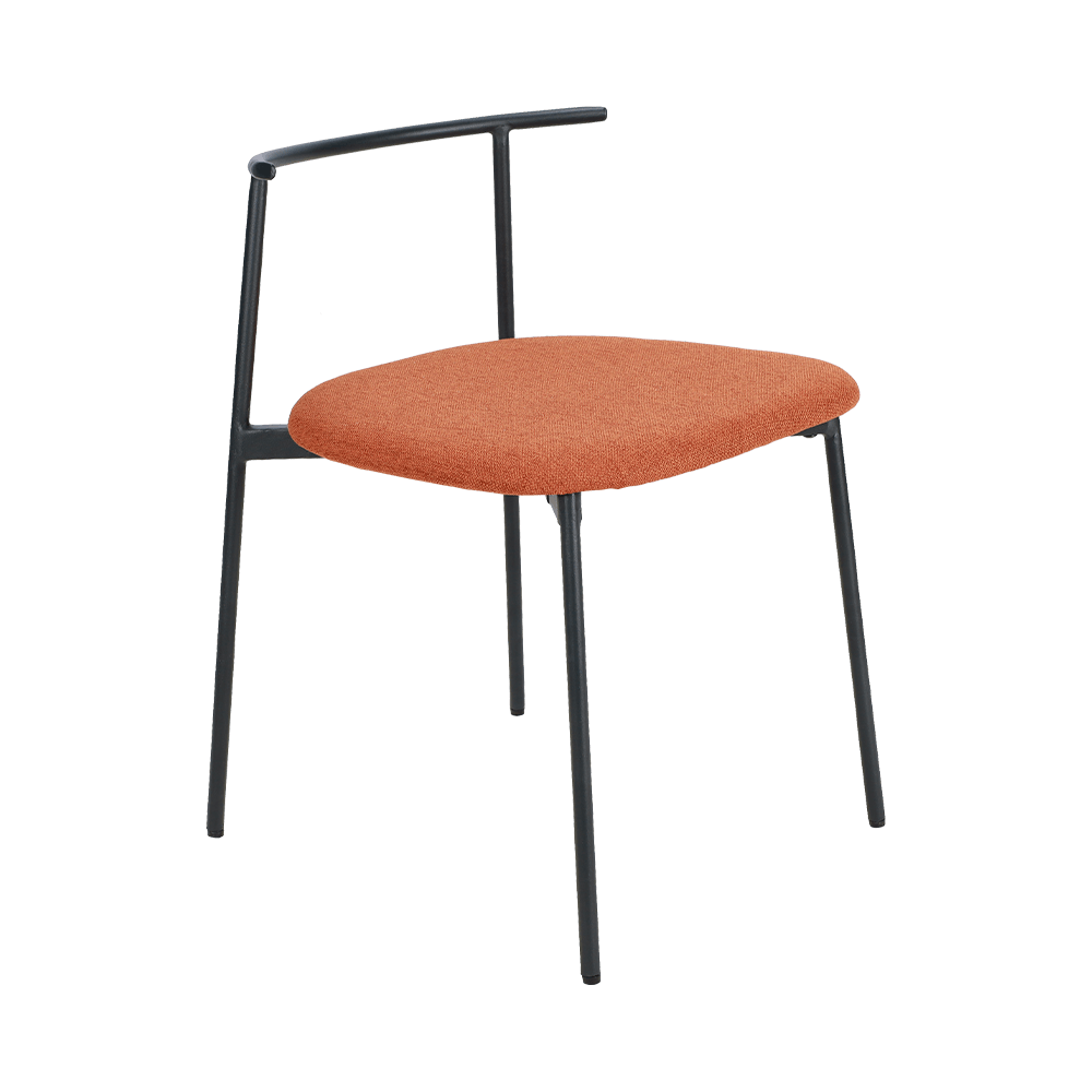 Aureum curvam Back Metal Crus Dining Sedra